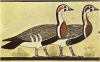A detail of the 'Meidum Geese.'