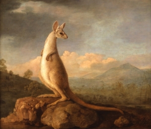 George Stubbs&#039; &#039;Kongouro from New Holland (The Kangaroo),&#039; 1772.