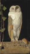 William James Webbe (fl.1853-1878), The White Owl, 'Alone and warming his five wits, The white owl in the belfry sits,' signed with monogram and dated '1856' (lower left), oil on board, 17¾ x 10 3/8 inches. 