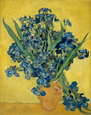 Vincent van Gogh&#039;s Irises.