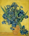 Vincent van Gogh's Irises.
