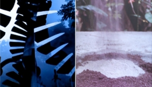 Stills from Melanie Smith&#039;s 2010 video &#039;Xilitla&#039;