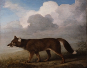 George Stubbs&#039; Portrait of a Large Dog.&#039;