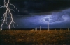 Walter de Maria's 'The Lightning Field,' 1977 was constructed with the help of the Dia Art Foundation.