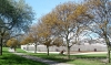 The exterior view of Frieze Masters