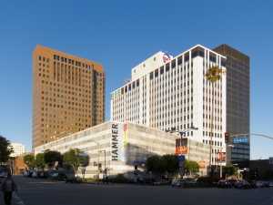 The Hammer Museum.