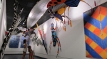 The kites in &quot;Kites and Flights,&quot; on display at Florida&#039;s Jacksonville International Airport, depict birds, insects, clouds, airplanes, balloons, rockets and other flying objects.