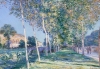 Alfred Sisley's Avenue of Poplars at Moret 