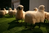 Francois-Xavier Lalanne's sheep sculptures.