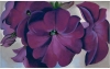 Georgia O'Keeffe's 'Petunias,' 1925.