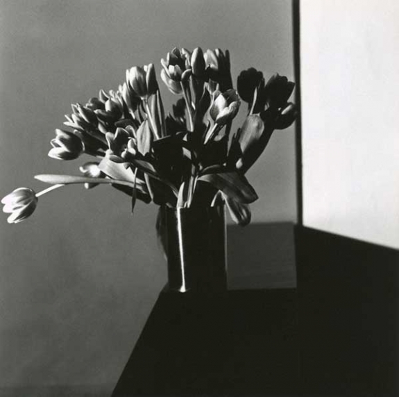 &quot;Tulip, 1977&quot; shows the photographer&#039;s signature style. 
