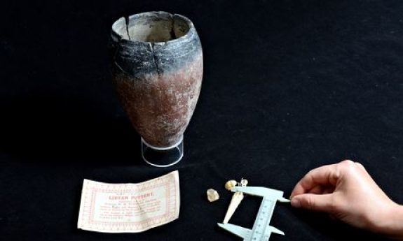 The prehistoric Egyptian pot found in England.