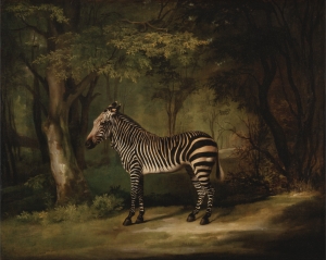 George Stubbs&#039; &#039;Zebra.&#039;