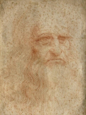 The Leonardo da Vinci self-portrait.
