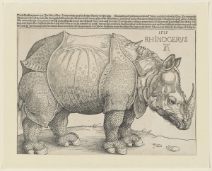 Albrecht Durer&#039;s &#039;The Rhinoceros,&#039; 1515. 