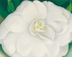 Georgia O&#039;Keeffe&#039;s &#039;A White Camellia.&#039;