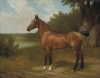 A painting by Jacques-Laurent Agasse.