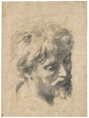 Raphael&#039;s &#039;Head of a Young Apostle.&#039;