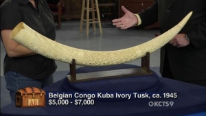 An ivory tusk on Antiques Roadshow.
