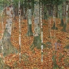 Gustav Klimt's 'Birch Forest,' 1903.
