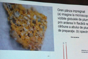A microscope picture of a canvas piece containing lead oxide was shown during a press conference at the National History Museum in Bucharest.