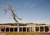 The Crystal Bridges Museum of American Art.