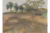 Edgar Degas' 'Plowed Field Bordered by Trees,' circa 1892.